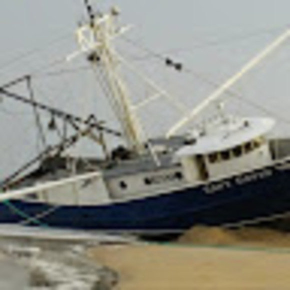 Meet your Posher, Mark - Picture 1 of 1